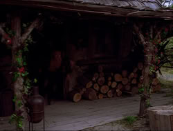 extant_HTLJ_4x16-Porkules_3903