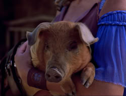 extant_HTLJ_4x16-Porkules_3913