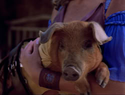 extant_HTLJ_4x16-Porkules_3914