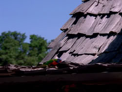 extant_HTLJ_4x16-Porkules_3968