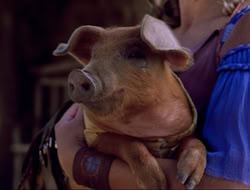 extant_HTLJ_4x16-Porkules_3972