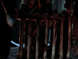 extant_HTLJ_4x16-Porkules_4013