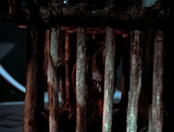 extant_HTLJ_4x16-Porkules_4014