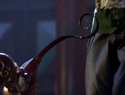extant_HTLJ_4x16-Porkules_4194