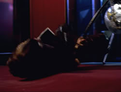extant_HTLJ_4x16-Porkules_4263