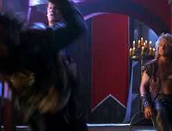 extant_HTLJ_4x16-Porkules_4267