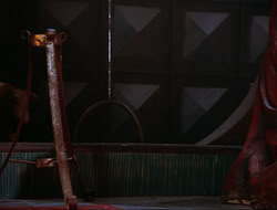 extant_HTLJ_4x16-Porkules_4312