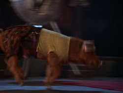 extant_HTLJ_4x16-Porkules_4324