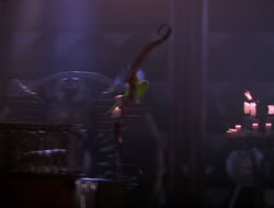 extant_HTLJ_4x16-Porkules_4360