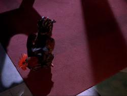 extant_HTLJ_4x16-Porkules_4387