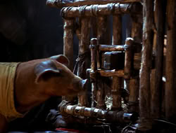extant_HTLJ_4x16-Porkules_4507