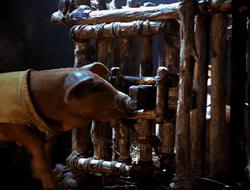 extant_HTLJ_4x16-Porkules_4508
