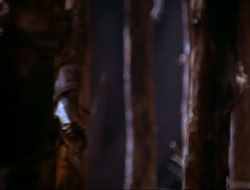 extant_HTLJ_4x16-Porkules_4511