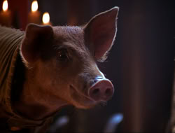 extant_HTLJ_4x16-Porkules_4516