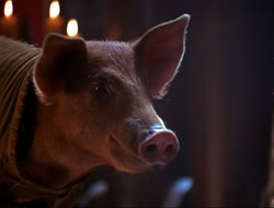 extant_HTLJ_4x16-Porkules_4526