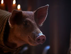 extant_HTLJ_4x16-Porkules_4527