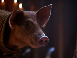 extant_HTLJ_4x16-Porkules_4529
