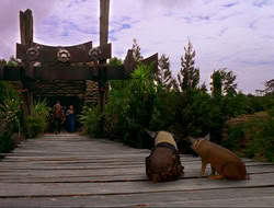 extant_HTLJ_4x16-Porkules_4590