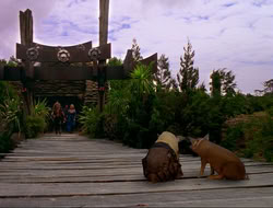 extant_HTLJ_4x16-Porkules_4591