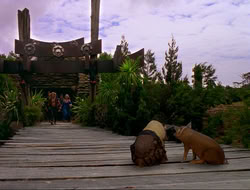 extant_HTLJ_4x16-Porkules_4592