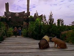 extant_HTLJ_4x16-Porkules_4593