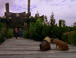 extant_HTLJ_4x16-Porkules_4594