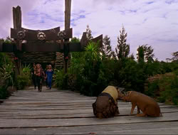 extant_HTLJ_4x16-Porkules_4595