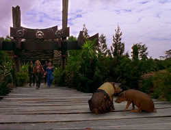 extant_HTLJ_4x16-Porkules_4596
