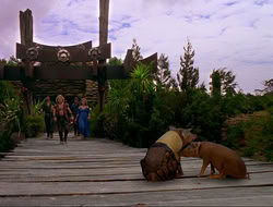 extant_HTLJ_4x16-Porkules_4597