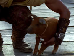 extant_HTLJ_4x16-Porkules_4734