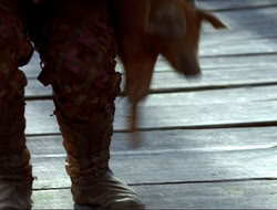 extant_HTLJ_4x16-Porkules_4735