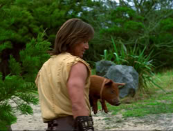 extant_HTLJ_4x16-Porkules_4756