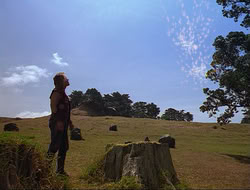 extant_HTLJ_4x17-OneFowlDay_0079
