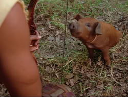 extant_HTLJ_4x17-OneFowlDay_0197