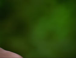 extant_HTLJ_4x17-OneFowlDay_0675