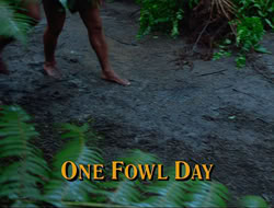 extant_HTLJ_4x17-OneFowlDay_0725