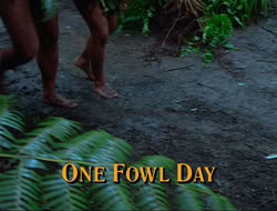 extant_HTLJ_4x17-OneFowlDay_0726