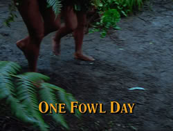 extant_HTLJ_4x17-OneFowlDay_0727