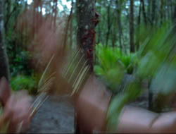 extant_HTLJ_4x17-OneFowlDay_0827