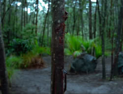 extant_HTLJ_4x17-OneFowlDay_0828