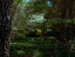 extant_HTLJ_4x17-OneFowlDay_0861