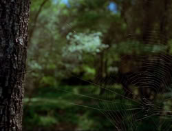 extant_HTLJ_4x17-OneFowlDay_0862