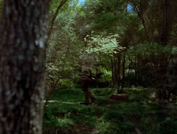 extant_HTLJ_4x17-OneFowlDay_0866