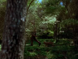 extant_HTLJ_4x17-OneFowlDay_0867