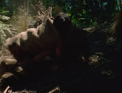 extant_HTLJ_4x17-OneFowlDay_1000