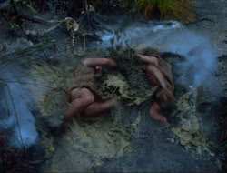 extant_HTLJ_4x17-OneFowlDay_1012