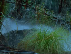 extant_HTLJ_4x17-OneFowlDay_1032