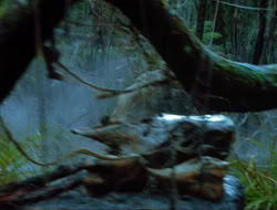 extant_HTLJ_4x17-OneFowlDay_1040