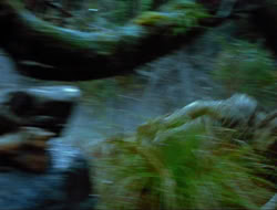 extant_HTLJ_4x17-OneFowlDay_1041