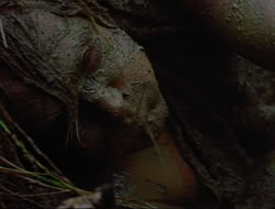 extant_HTLJ_4x17-OneFowlDay_1051